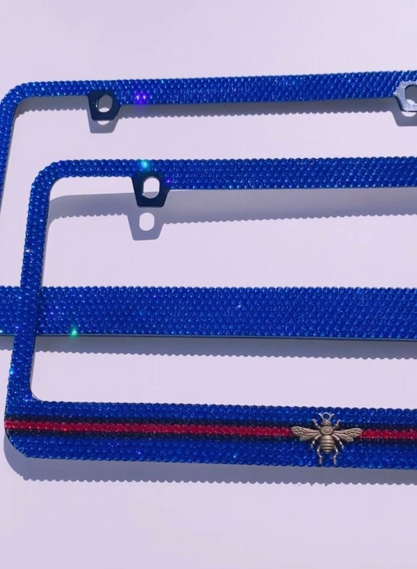 Louis Vuitton Rainbow License Plate Frame