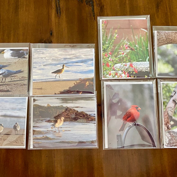 Set of 8 Bird Photo Note Cards, Original Haiku Poems on the back of each card