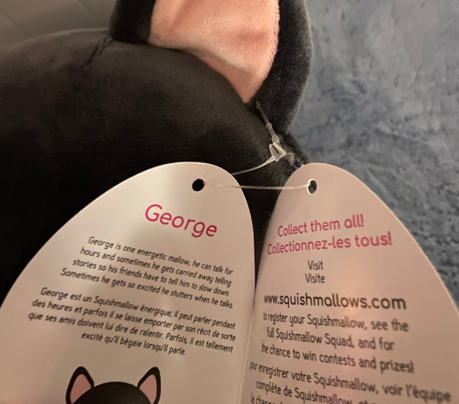 squishmallow boston terrier