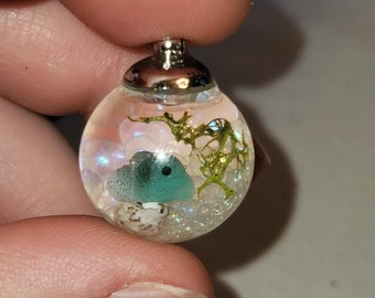 Lumpsucker Etsy Uk