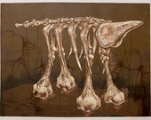 untitled anvil skeleton on display , 2001