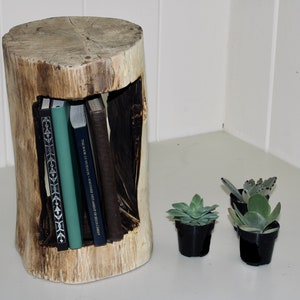 Peut inclure: Un tabouret en bois rustique avec une section creusée pour ranger des livres. Le tabouret est fait d'un tronc d'arbre et a une finition naturelle et patinée. Il y a quatre livres dans la section creusée et trois petites plantes grasses en pot sur la table devant le tabouret.