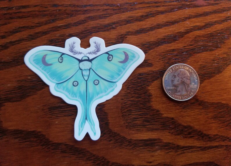 Luna Moth Sticker / Witchy Moon Cute Matte Sticker / Water Bottle ...
