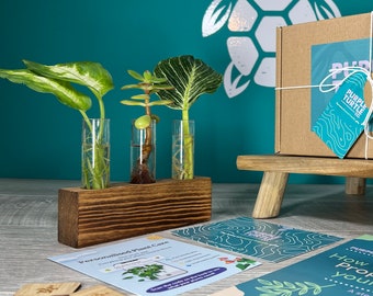 Plant Propagation Station Gift Box | Glass Vases & Plant Care App Acccess