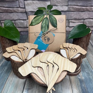 48 Bamboo Plant Name Stakes + Gift Box | 3 Sizes | Plant Lovers Gift | Garden Labels | Gifts For Her | Name Your Plants