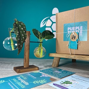 May include: A brown cardboard gift box with a Purple Turtle Co. label, a wooden propagation stand with two glass bulbs containing plant cuttings, a greeting card with a tree illustration, and instructional cards for plant care and propagation.