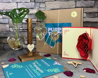 Mother&#39;s Day Plant Gift Box + Card & Teddy | Gifts For Her | Anniversary Gifts | Plant Propagation Stand + Plant Care App To Track Plants