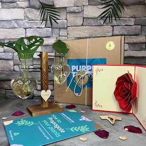 Muttertag Geschenkbox + Karte & Teddy | Geschenke für Sie | Jubiläumsgeschenke | Pflanzenvermehrungsständer + Pflanzenpflege-App, um Pflanzen zu verfolgen