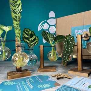 Plant Propagation Station Gift Box: Glass Vases, Labels, Guide & Plant App Memberhsip