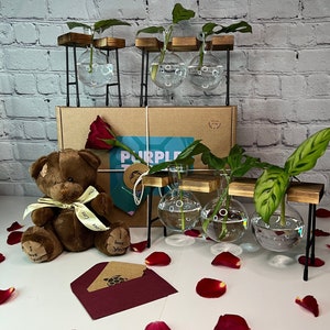 Moederdagcadeaudoos planten + kaart en knuffel | Cadeaus voor haar | Plantenverzorgingspakket | Verlovingscadeaus | Jubileumcadeaus | Voortplantingsstandaard