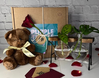 Coffret cadeau fête des mères végétales + carte et peluche | Cadeaux pour elle | Ensemble d'entretien des plantes | Cadeaux de fiançailles | Cadeaux d'anniversaire | Support de propagation