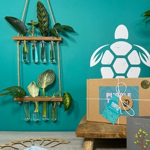 Wall Hanging Plant Propagation Station Gift Set: Glass Vases, Plant Labels, Plant Care App Membership