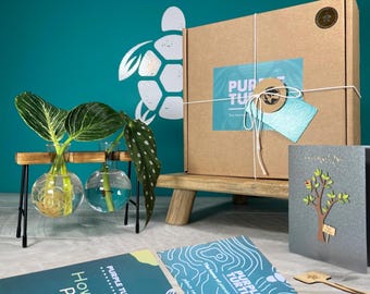 Plant Propagation Station Gift Box: Glass Vases, Labels, Guide & Plant App | Plant Lovers | Gifts For Her | Gardener Gifts