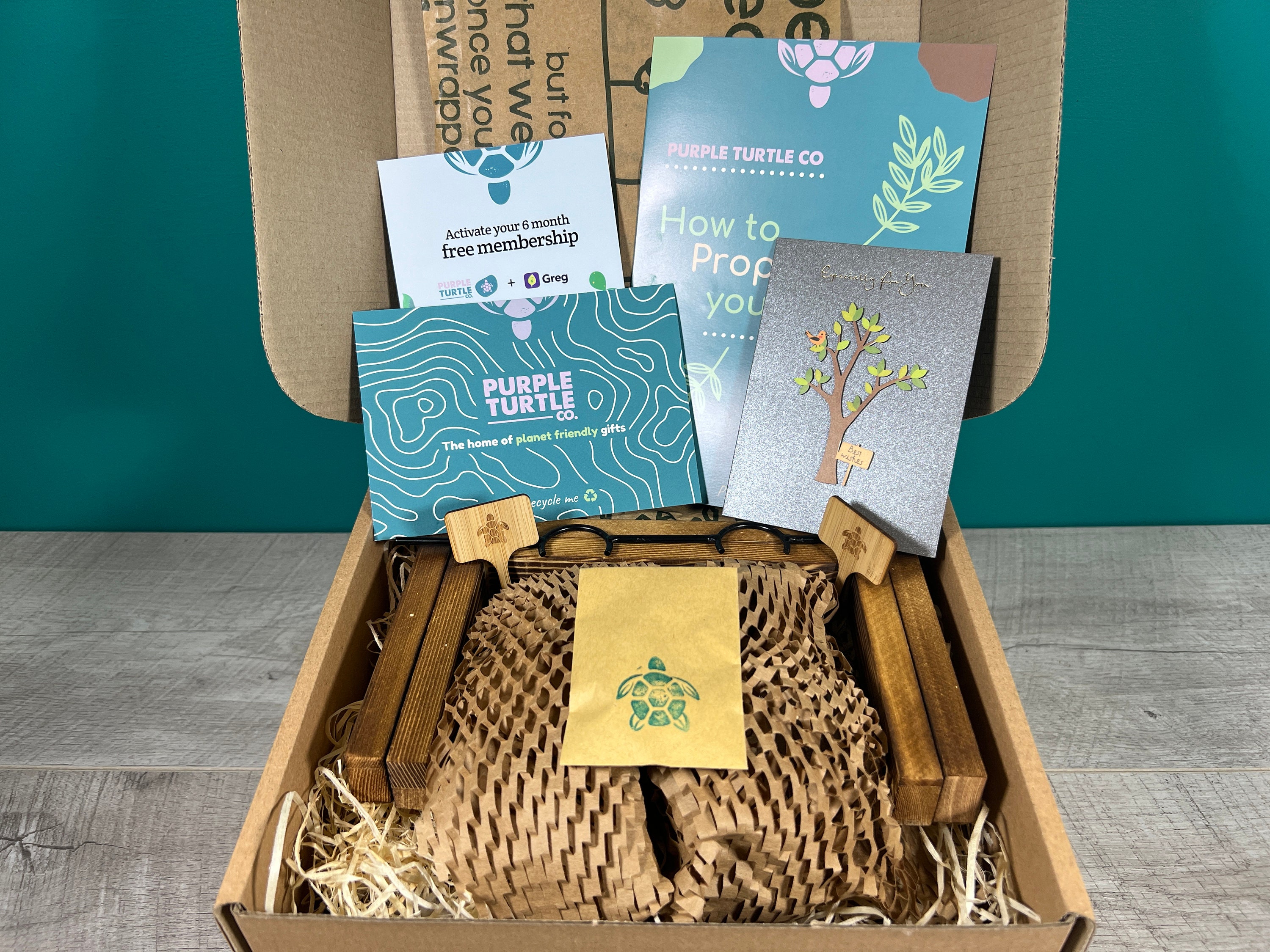 Cadeau multiplication végétale coffret cadeau Station de démarrage pour  cultiver vos plantes Cadeaux pour elle Boutures de plantes d'intérieur  Abonnement gratuit à l'application Plant -  France