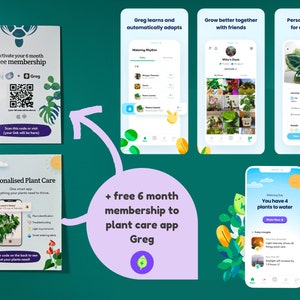 Plantenvermeerdering cadeau geschenkdoos Startstation voor het kweken van uw planten Cadeaus voor haar Stekken van kamerplanten Gratis lidmaatschap van de Plant App afbeelding 9