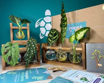 Plant Propagation Station Gift Set: Glass Vases, Bamboo Labels & Plant App