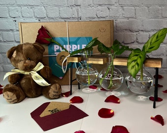 Plant Mother&#39;s Day Gift Box + Card & Teddy | Gifts For Her | Plant Care Package | Engagement Gifts | Anniversary Gifts | Propagation Stand