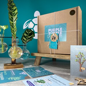 Pflanzenvermehrung Geschenk + Geschenkbox | Wachsen Sie Ihre Pflanzen-Starter-Station | Geschenke für Sie | Zimmerpflanzenstecker | + Kostenlose Plant App-Vereinbarung