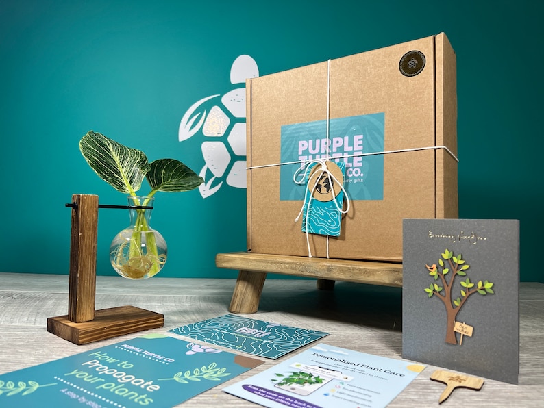 Purple Turtle Co. Plant Propagation Station - Thumbnail 4