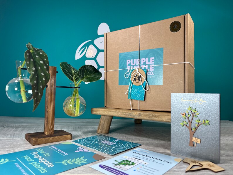 Purple Turtle Co. Plant Propagation Station