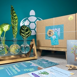 Cadeau multiplication végétale coffret cadeau Station de démarrage pour cultiver vos plantes Cadeaux pour elle Boutures de plantes d'intérieur Abonnement gratuit à l'application Plant Triple