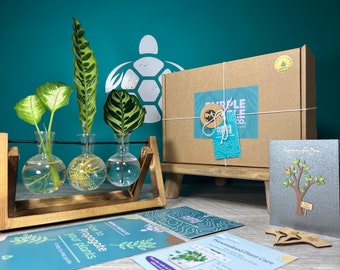 Cadeau multiplication végétale + coffret cadeau | Station de démarrage pour cultiver vos plantes | Cadeaux pour elle | Boutures de plantes d'intérieur | + Abonnement gratuit à l'application Plant