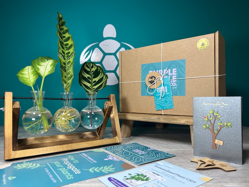 Plant Propagation Gift