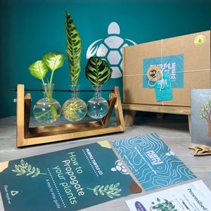 Plant Propagation Station Complete Gift Set: Glass Vases, Labels, Guide & Plant App | Gifts For Her | Plant Lovers Gift