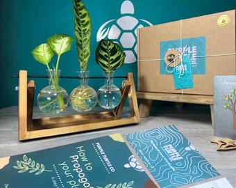 Kit completo para propagação de plantas: vasos de vidro, etiquetas, guia e aplicativo para plantas | Presente para ela | Presente para amantes de plantas