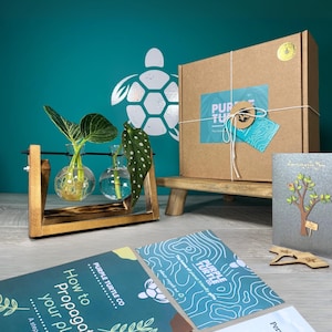 Plant Propagation Station Gift Box: Glass Vases, Labels, Guide & Plant App | Plant Lovers | Gifts For Her | Gifts For Gardeners