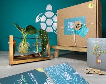 Plant Propagation Station Gift Box: Glass Vases, Labels, Guide & Plant App | Plant Lovers | Gifts For Her | Gifts For Gardeners