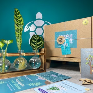 Plant Propagation Gift + Gift Box | Grow Your Plants Starter Station | Gifts For Her | Indoor Plant Cuttings | + Free Plant App Membership