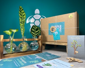 Plant Propagation Station Gift Box: Glass Vases, Wooden Labels, Plant App Membership, Guide | Start Cloning Your Plants