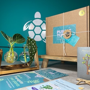 Pflanzenvermehrungsstation Geschenkbox: Glasvasen, Etiketten, Anleitung & Pflanzen-App-Memberhsip