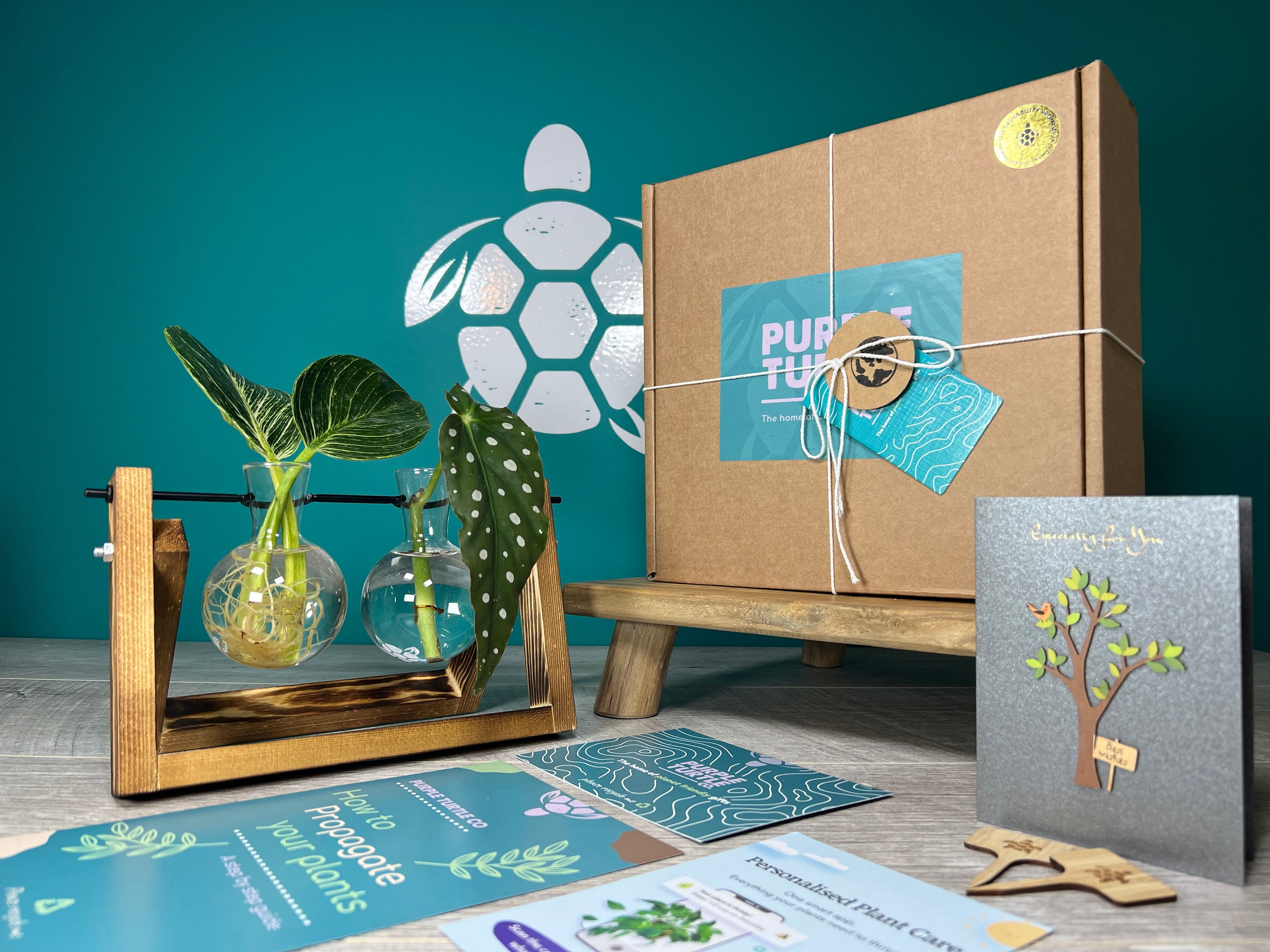 Plant Propagation Station Gift Box: Glass Vases, Wooden Labels, Plant App Membership, Guide | Start Cloning Your Plants