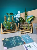 Plant Lovers Gift Set: Propagation Station  | Start Growing Plants