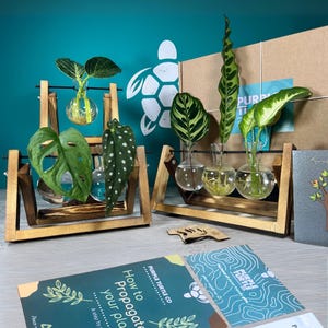 Plant Lovers Propagation Gift Set | Gifts For Her | Plant Lovers Gift | Propagation Station | Grow Your Own Plants