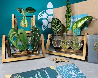 Plant Lovers Propagation Gift Set | Gifts For Her | Plant Lovers Gift | Propagation Station | Grow Your Own Plants