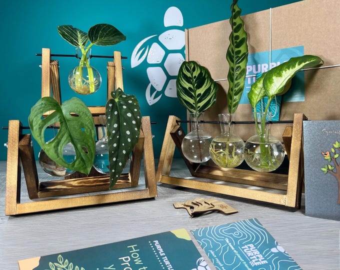 Plant Lovers Gift Set: Propagation Station  | Start Growing Plants