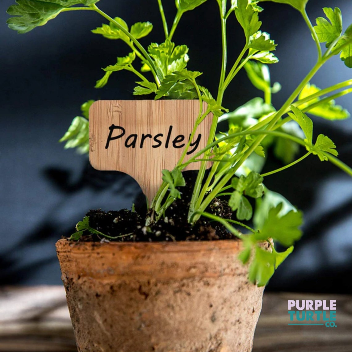Plant Labels Gift Box Plant Name Stakes Seed Markers Etsy