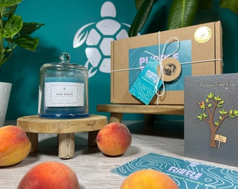 Handmade Peach Soy Wax Candle: Glass Holder + Gift Box