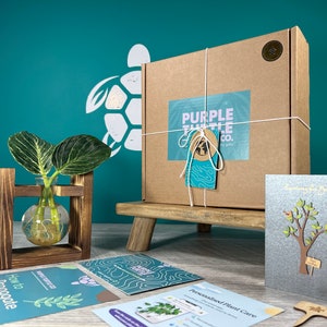 Plant Propagation Gift + Gift Box | Grow Your Plants Starter Station | Gifts For Her | Indoor Plant Cuttings | + Free Plant App Membership