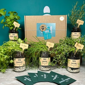 May include: A set of six glass jars containing growing herbs. The jars are labelled with the names of the herbs: Sweet Basil, Parsley, Chives, Thyme, Rosemary. The jars are arranged in a row on a wooden surface. The jars are packaged in a brown cardboard box with a label that says "Purple Turtle".
