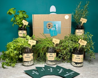 Grow Your Own Herbs Gift Box: Basil, Parsley, Chives, Thyme, Rosemary
