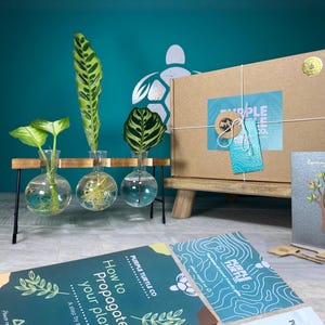 May include: A plant propagation station with three glass bulbs in a wooden frame, a cardboard box labelled Purple Turtle Co., and instructional cards. The cards feature text including How to Propagate your plants and Purple Turtle Co. branding.