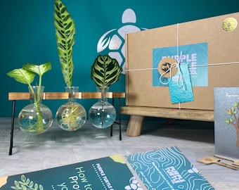 Plant Propagation Station Gift Set: Glass Vases, Labels, Guide & Plant App | Plant Lovers | Gifts For Her | Gardener Gifts
