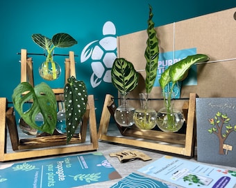 Plant Propagation Station Gift Box: Glass Vases, Wooden Labels, Plant App Membership, Guide | Start Cloning Your Plants