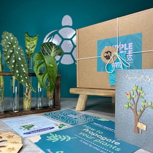 Prezent do rozmnażania roślin + pudełko prezentowe | Stacja startowa Grow Your Plants | Prezenty dla niej | Sadzonki roślin domowych | + Bezpłatne członkostwo w aplikacji Plant App