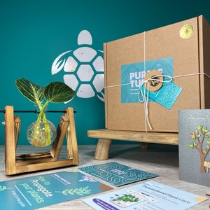 Regalo de propagación de plantas + Caja de regalo / Estación de inicio para cultivar sus plantas / Regalos para ella / Esquejes de plantas de interior / + Membresía gratuita de la aplicación Plant