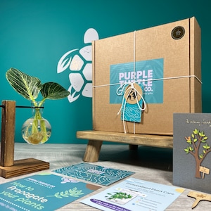Pflanzenvermehrung Geschenk + Geschenkbox | Wachsen Sie Ihre Pflanzen-Starter-Station | Geschenke für Sie | Zimmerpflanzenstecker | + Kostenlose Plant App-Vereinbarung